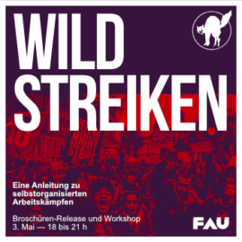 Wild Streiken – Broschüren-Release und Workshop