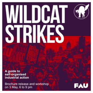 share pic wildcat strikes