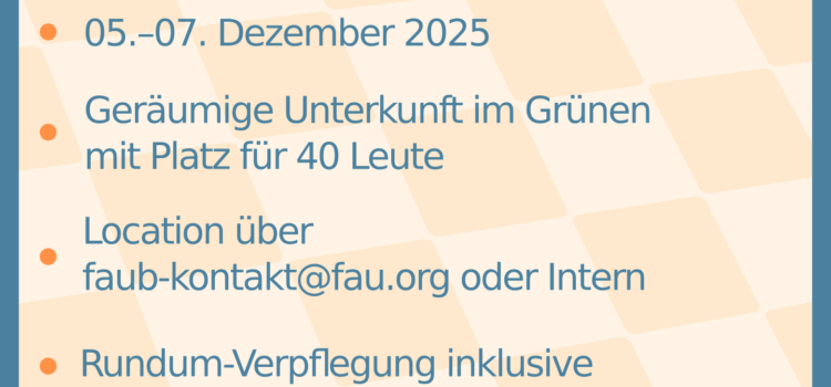 FAU-Strategieklausur